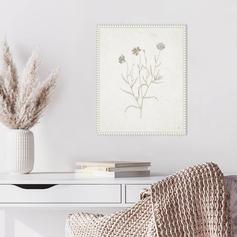 Amanti Art 16"x20" Plants from The Meadow V by Sarah Adams Framed Canvas Wall Art Print: Modern Botanical Lithograph, White Frame