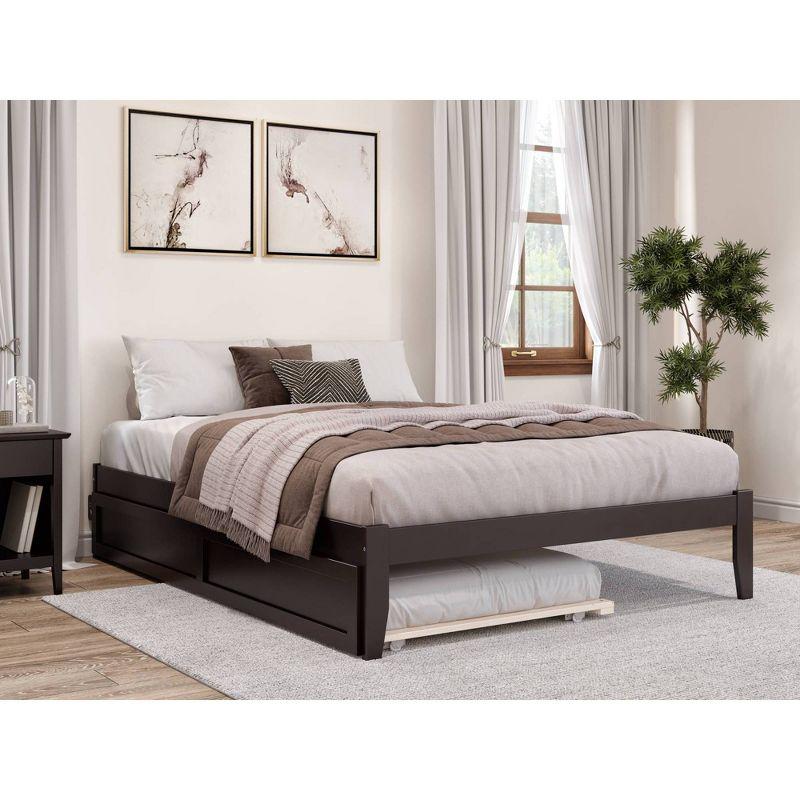 Espresso Queen Platform Bed with Upholstered Trundle and USB Charger