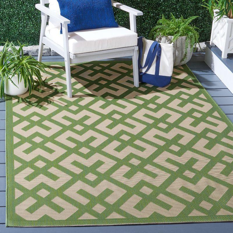 Courtyard CY6915 Power Loomed Indoor/Outdoor Area Rug  - Safavieh