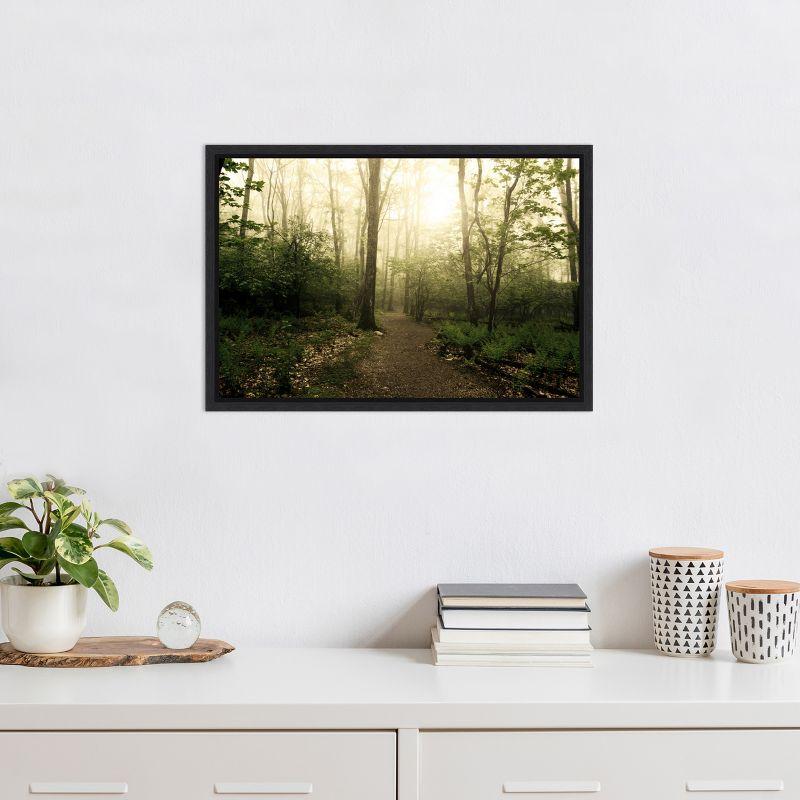 Amanti Art Appalachian Trail by Andy Magee Framed Canvas Wall Art