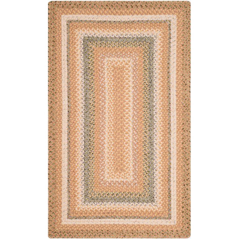Braided BRD314 Hand Woven Area Rug - Tan/Multi - 3'x5' - Safavieh.