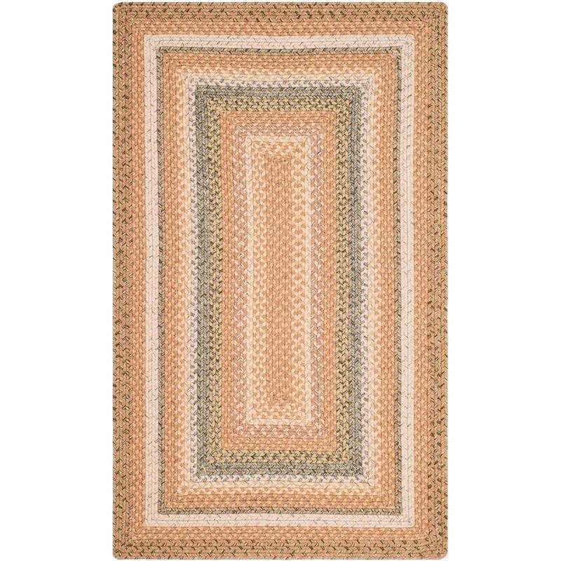 Braided BRD314 Hand Woven Area Rug  - Safavieh