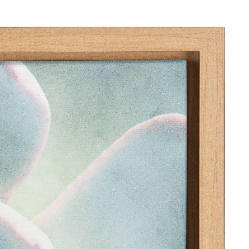 30" x 30" Sylvie Succulent 7 Framed Canvas by F2 Images Natural - Kate & Laurel All Things Decor: Wall Display, Botanical Digital Art