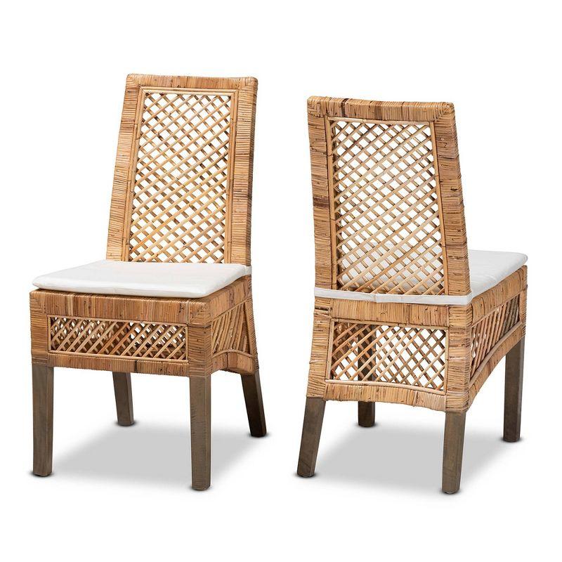 Bayou Breeze Argos Modern Bohemian Rattan Dining Chair (Set of 2)