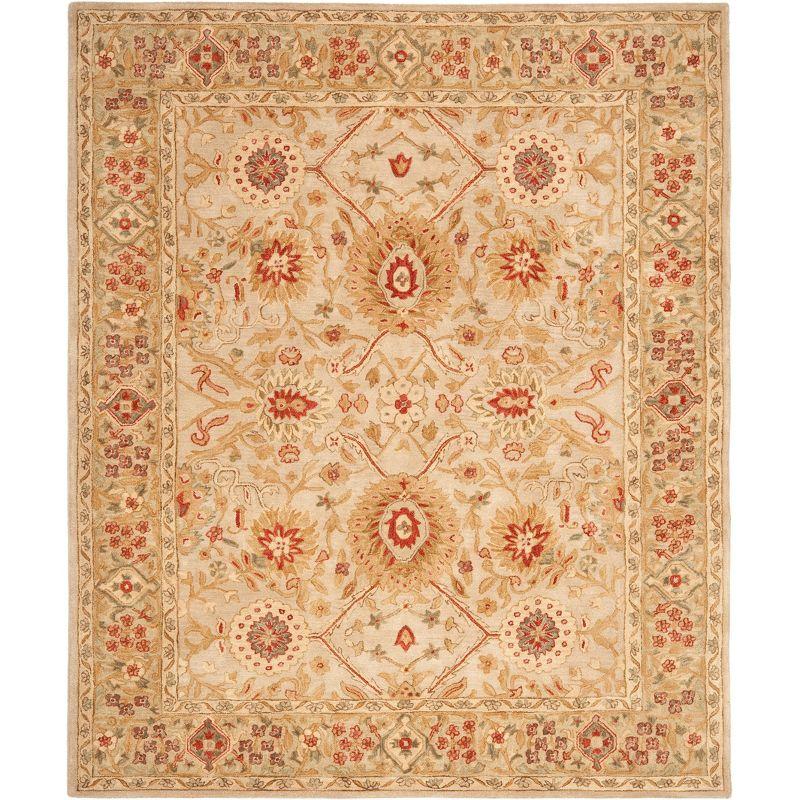 Anatolia AN516 Hand Tufted Traditional Area Rug  - Safavieh