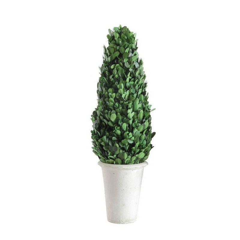 Storied Home Boxwood Cone Topiary: Indoor Faux Topiary, Cement Pot Base, Styrofoam Filler, 17.72" Height