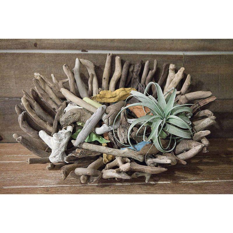 Storied Home Driftwood Tray - Handcrafted, Artisanal Centerpiece, Decorative Wood Platter, Nautical Decor