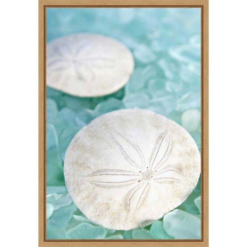 Nautical Summer Seashell and Sea Glass Framed Canvas Print