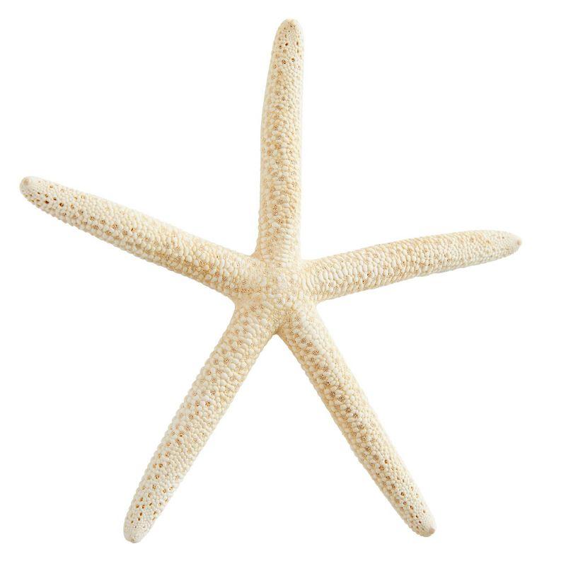 Juvale 12 Pack White Finger Starfish for Nautical Décor, Vase Filler, Craft Supplies (4 to 6 in)