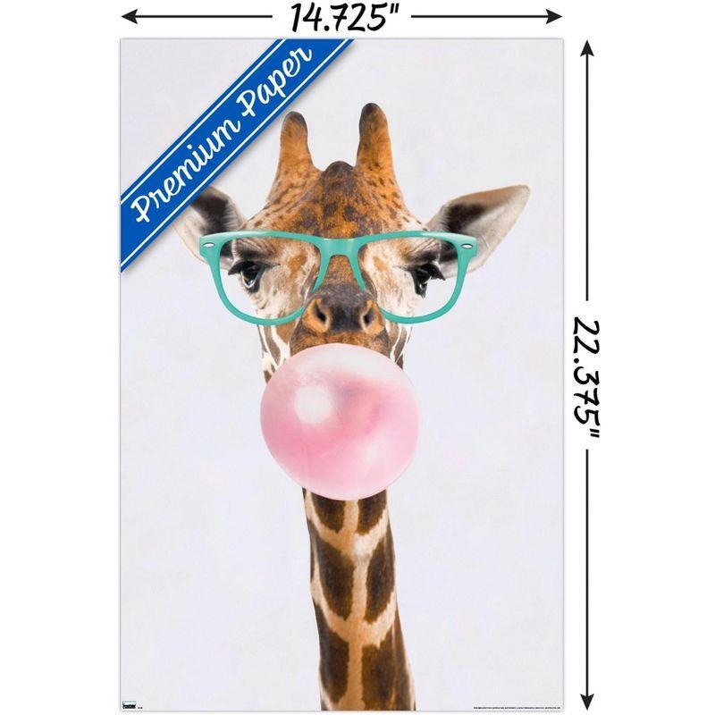 Trends International Reinders - Funky Giraffe Unframed Wall Poster Print White Mounts Bundle 14.725" x 22.375"