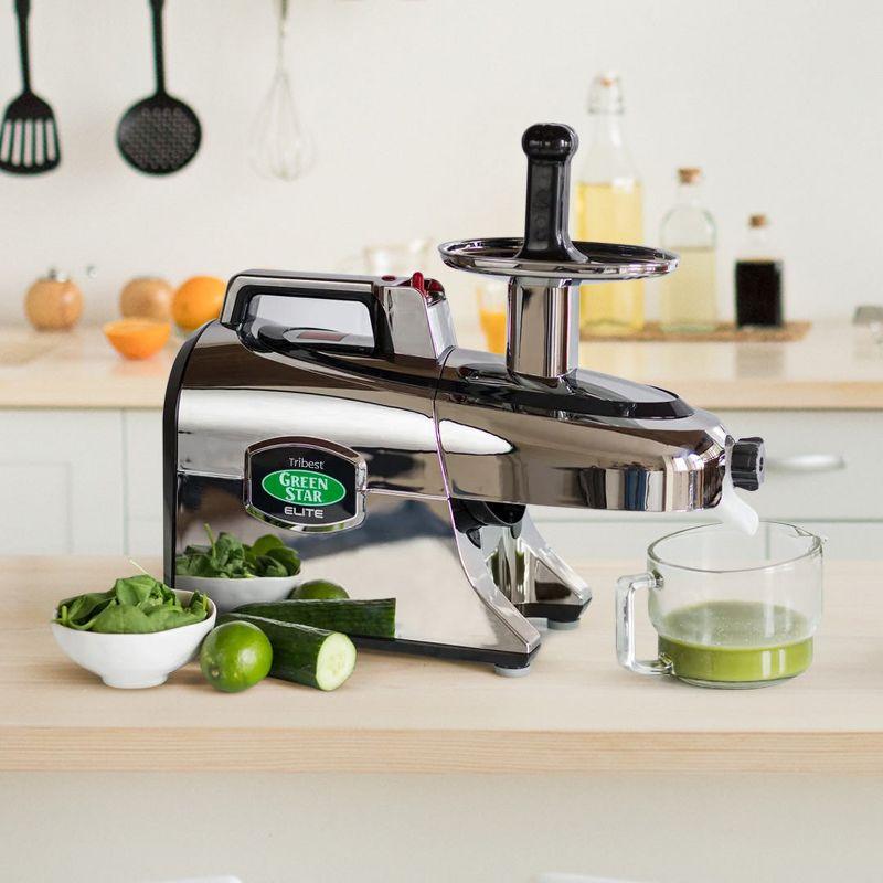 Tribest Greenstar Elite Jumbo Twin Gear Slow Masticating Juicer – Silver