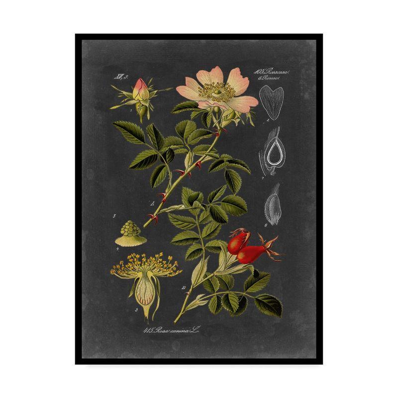 Midnight Botanical I Pink Floral Canvas Wall Art with Black Frame