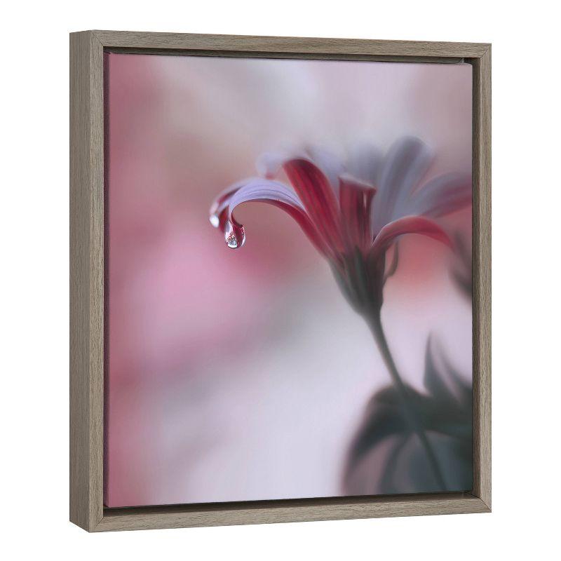 22" x 22" Invisible Touch Framed Canvas Wall Art - Amanti Art: Juliana Nan Botanical Photograph, Modern Decor Style