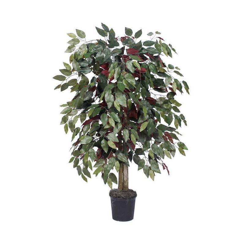 Elegant 4' Silk Capensia Floor Plant in Sleek Black Pot