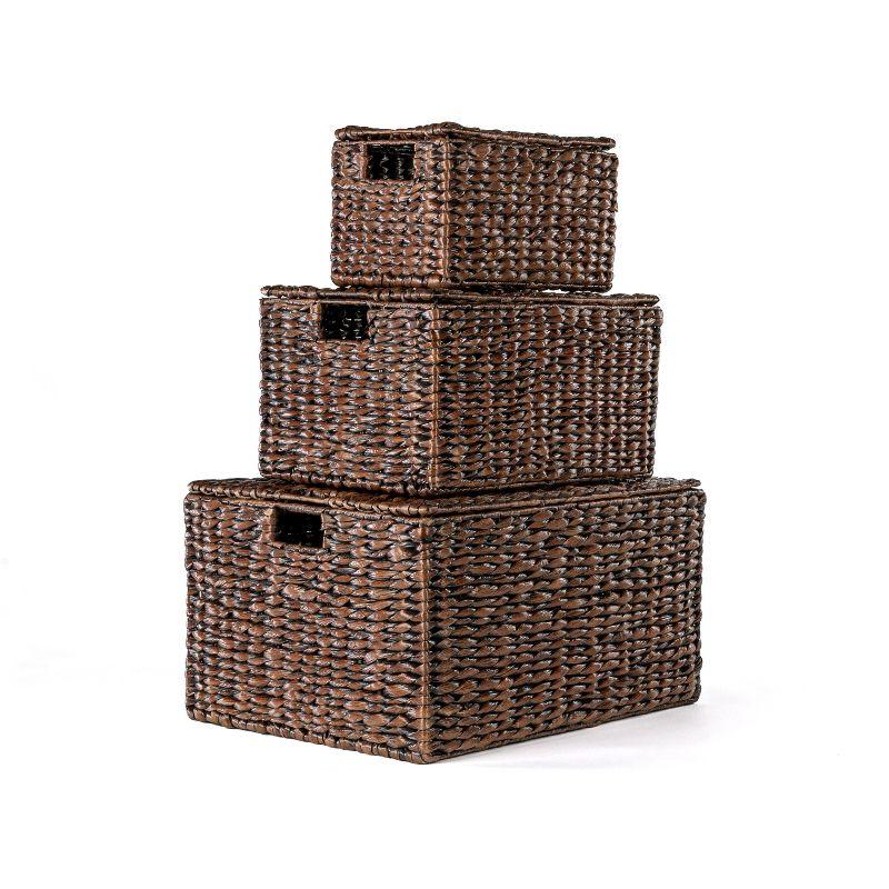 happimess Traditional Assorted Hand-Woven Hyacinth/Iron Baskets (Set of 10)