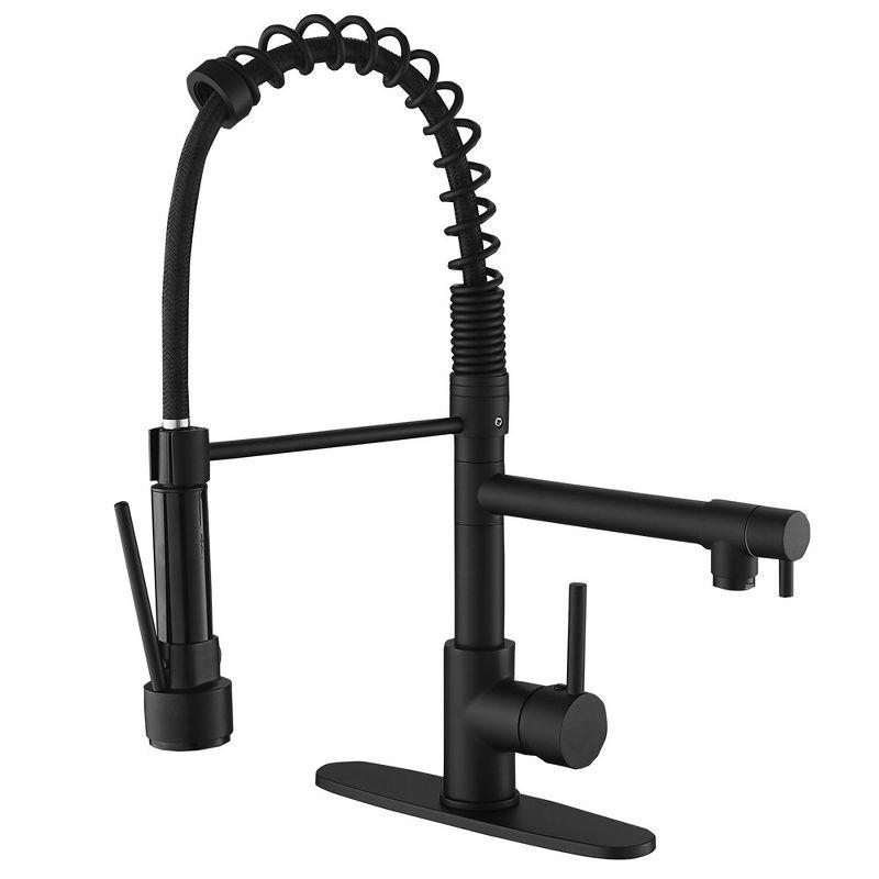 Matte Black Pull-Down Kitchen Faucet with Deck Plate