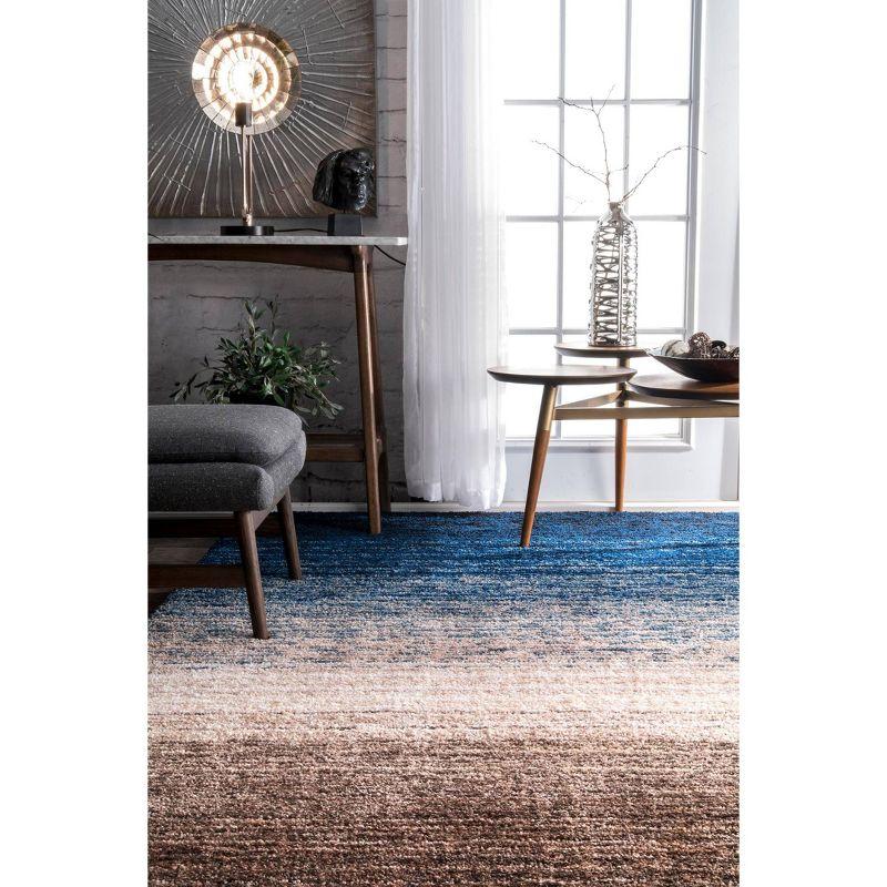 Drey Ombre Shag Area Rug - nuLOOM