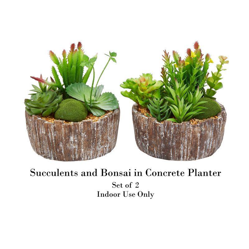 Rustic Charm Faux Succulent Duo in Concrete Barrel Planters