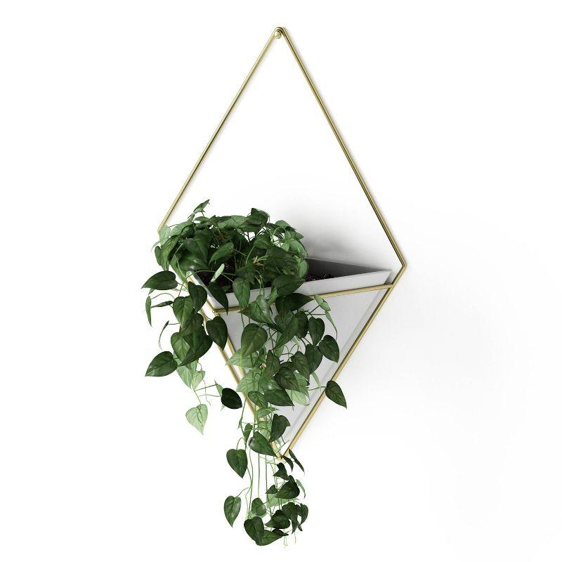 White and Brass Geometric Wall Planter Decor