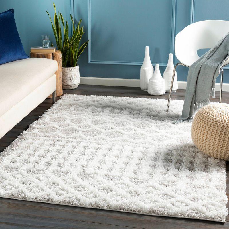 Gray and White Rectangular Shag Rug with Global Pattern