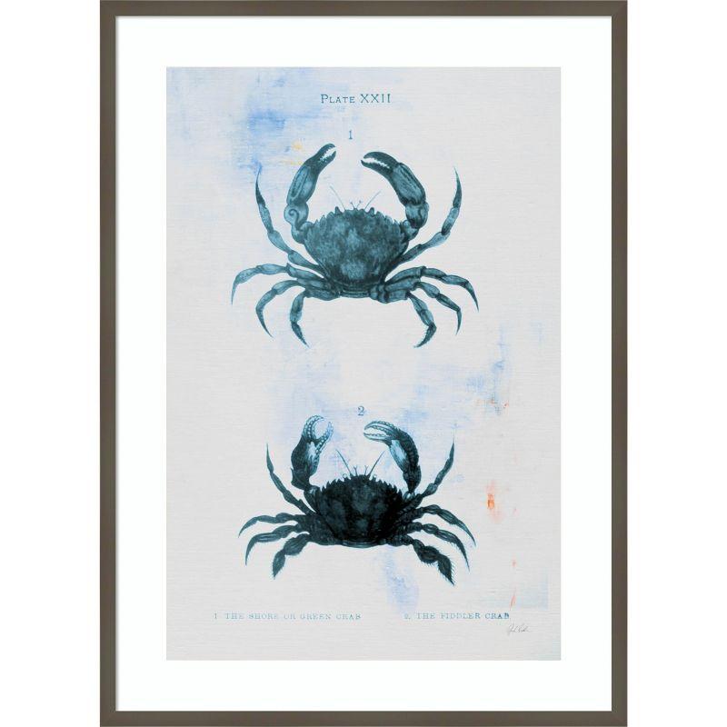 Blue Bay IV Vintage Crab Illustration Wood Framed Print