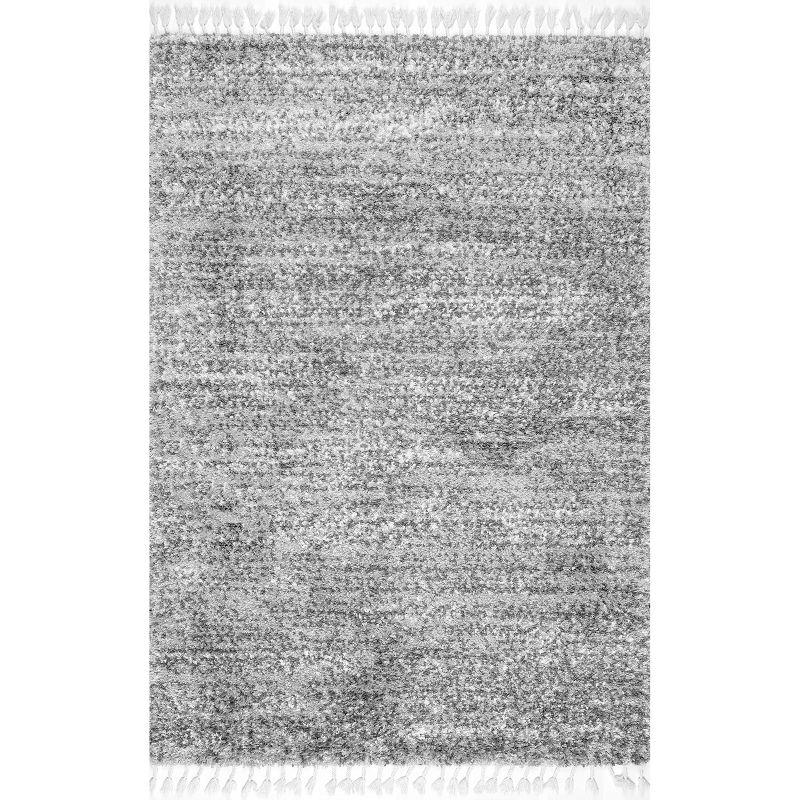 Gray Braided Shag Rectangular Area Rug with Tassels, 2' x 3'