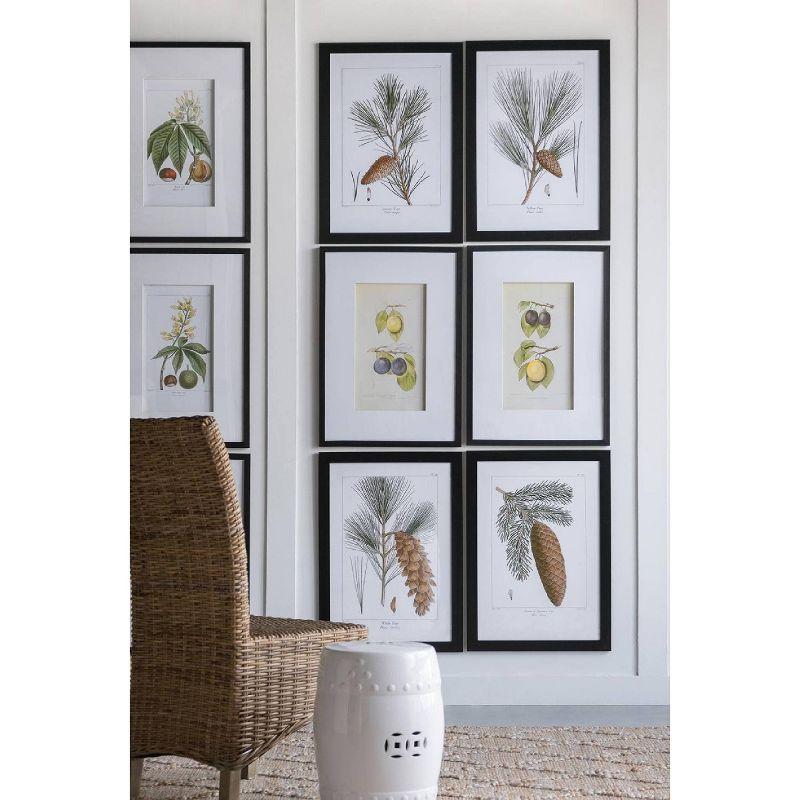 Set of 2 Smithsonian Fruit Framed Wall Arts - A&B Home: Transitional Decor, Vertical Orientation, Includes Mounting Hardware