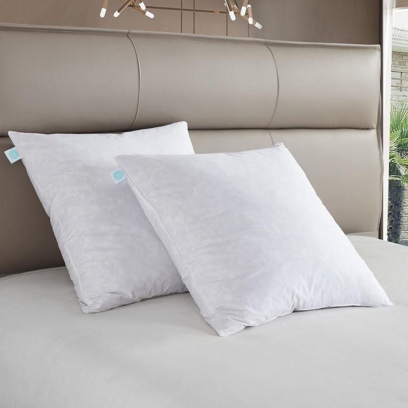 Euro 26x26 White Cotton Feather Firm Pillow Set