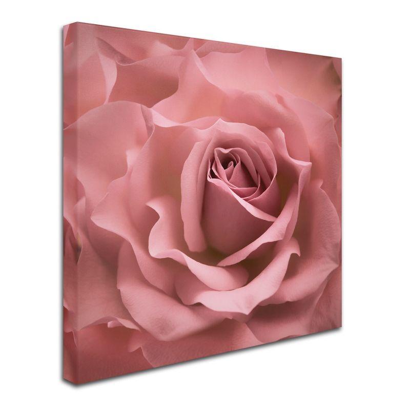 House of Hampton® " Misty Rose Pink Rose " by Cora Niele