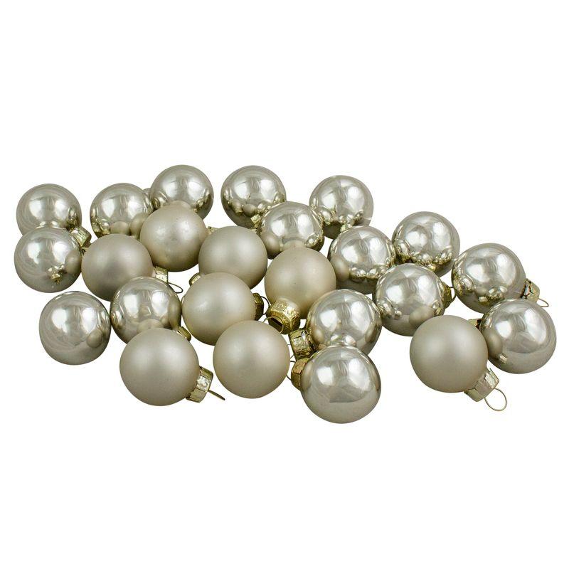 Champagne Gold Shiny and Matte Glass Ball Ornament Set, 1" (25mm), 24-Piece