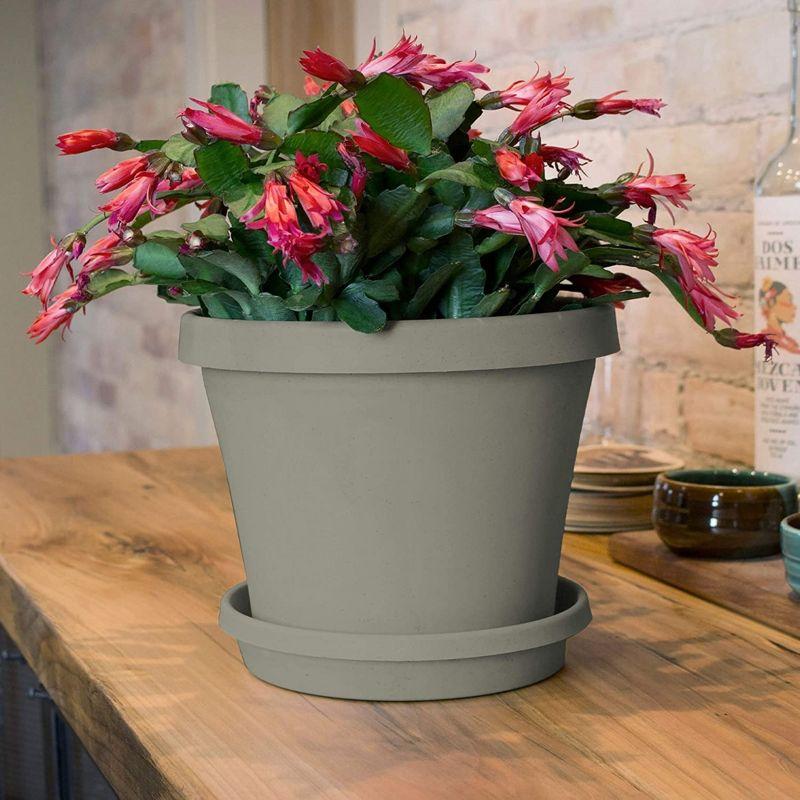 Bloem Terra Plastic Pot Planter, Pebble Stone, 10in