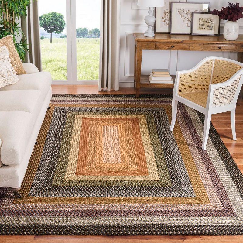 Braided BRD308 Hand Woven Area Rug  - Safavieh