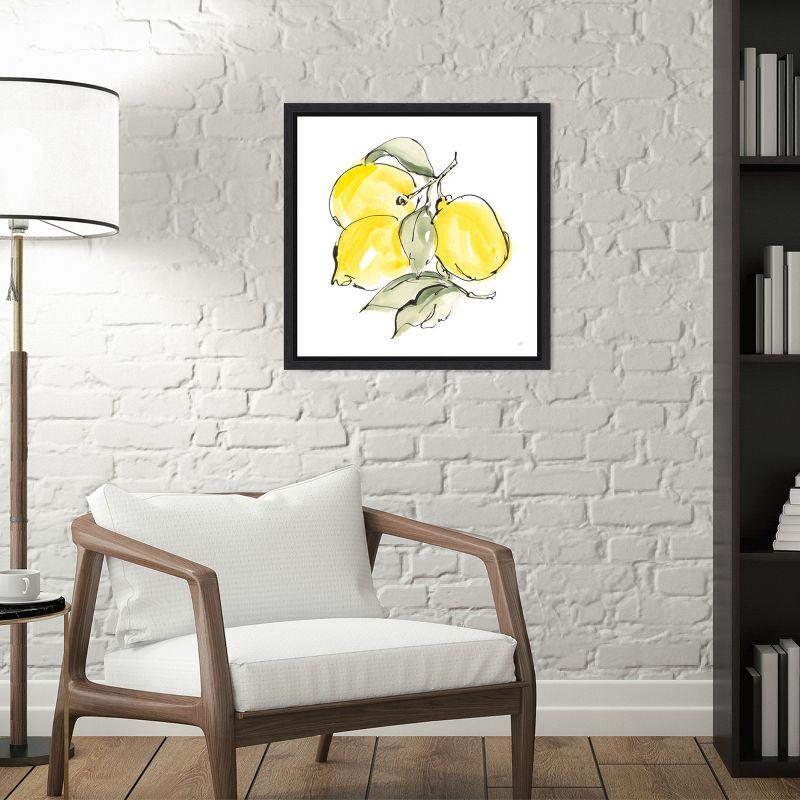 Amanti Art Lemons III by Chris Paschke Canvas Wall Art Print Framed 16 x 16-in.