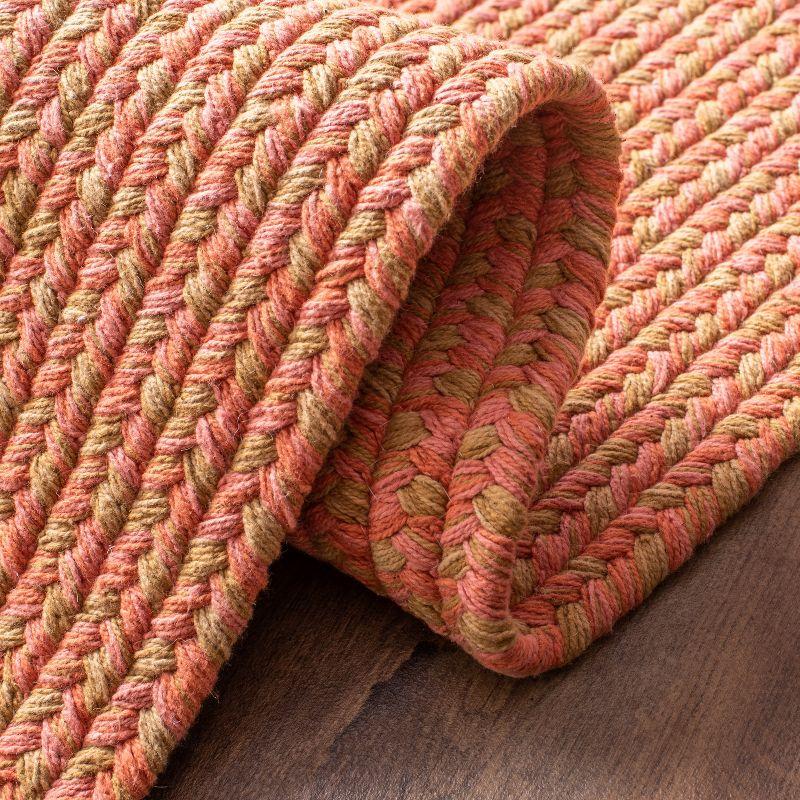 Braided BRD168 Hand Woven Accent Rug - Multi - 2'6"x4' - Safavieh.