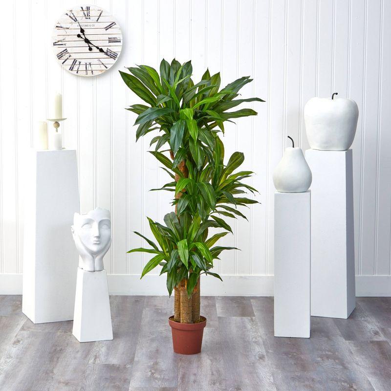 Nearly Natural Corn Stalk Dracaena Silk Plant (Real Touch)