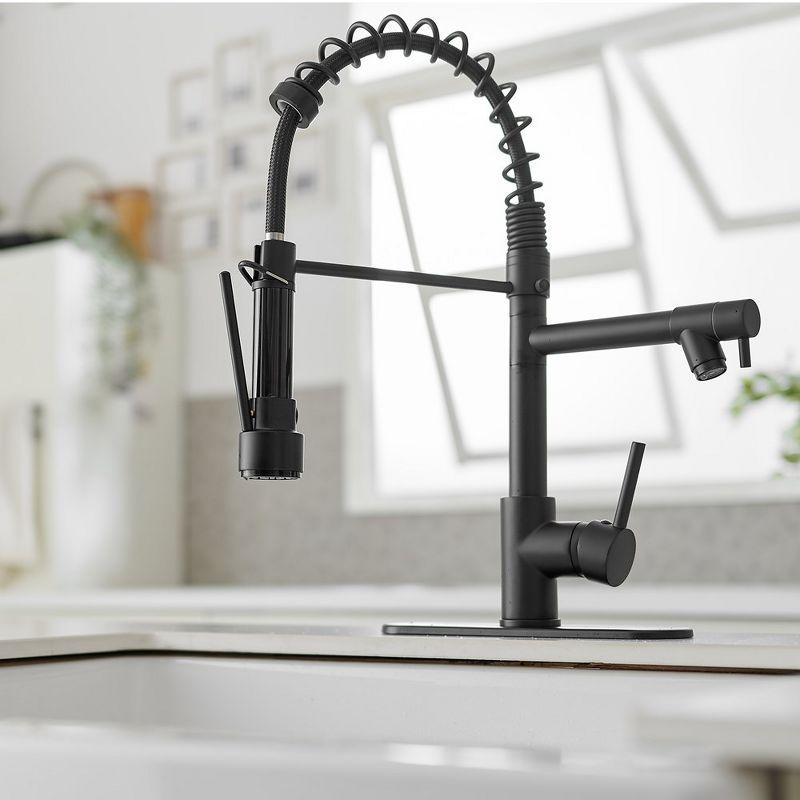 Pull Down Single Handle Kitchen Faucet with Accessories