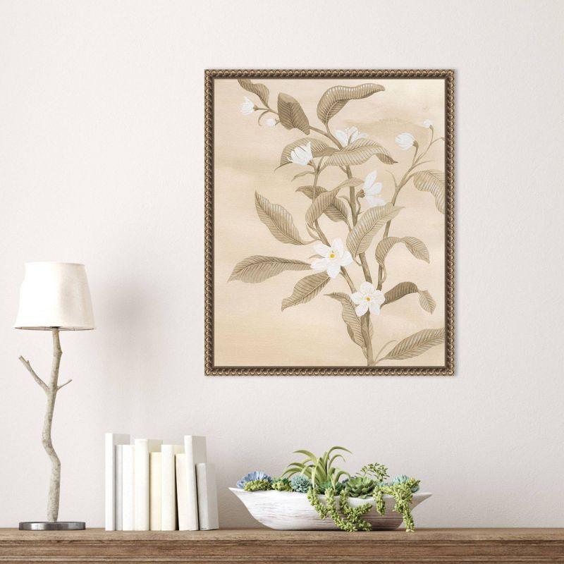 Amanti Art Sepia Orange Blossom Sketch II by Grace Popp Framed Canvas Wall Art Print