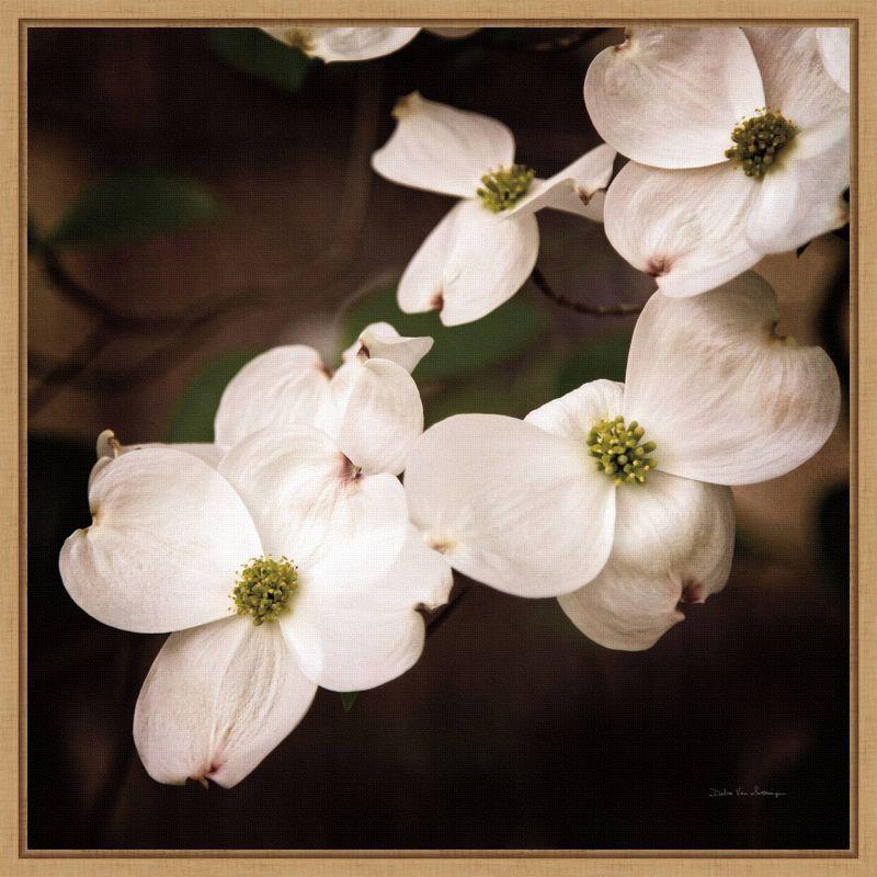 20" x 19" White Dogwood Blossoms Framed Canvas Print