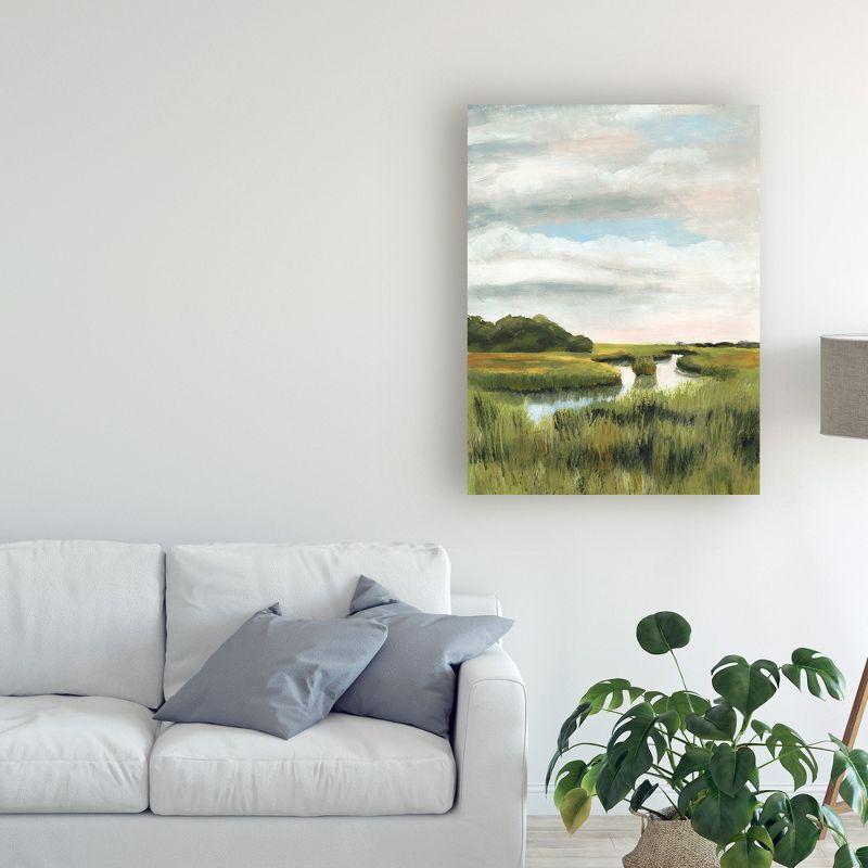 Trademark Fine Art -Naomi Mccavitt 'Marsh Landscapes I' Canvas Art