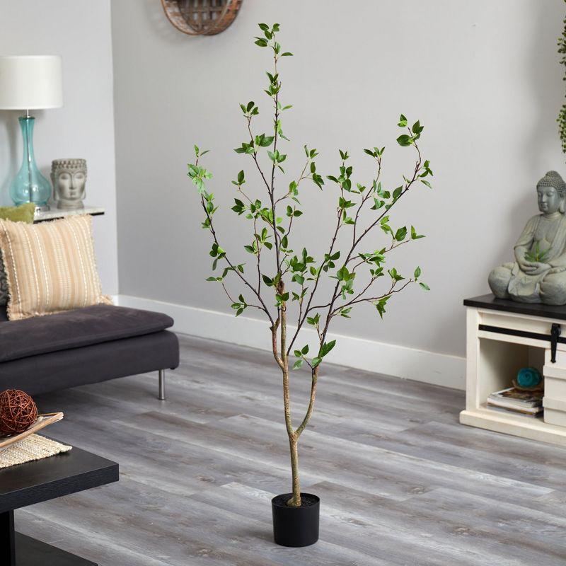 Faux Minimalist Citrus Tree 5'