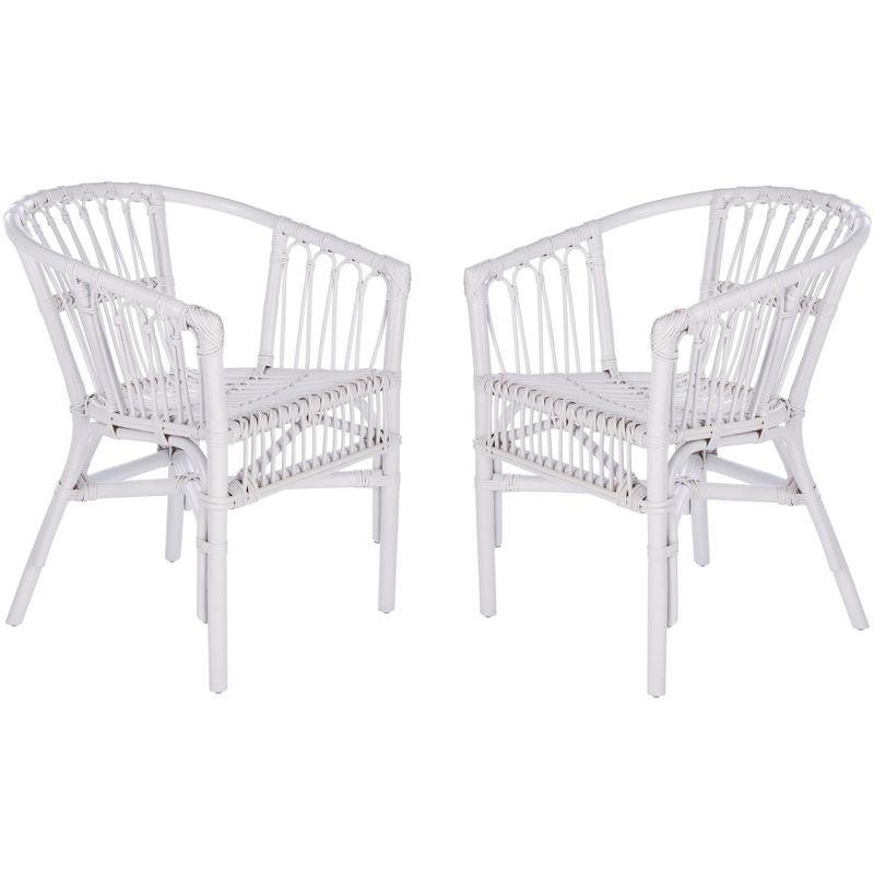 Adriana Rattan Accent Chair - Set of 2 - ACH6505 - White - Safavieh