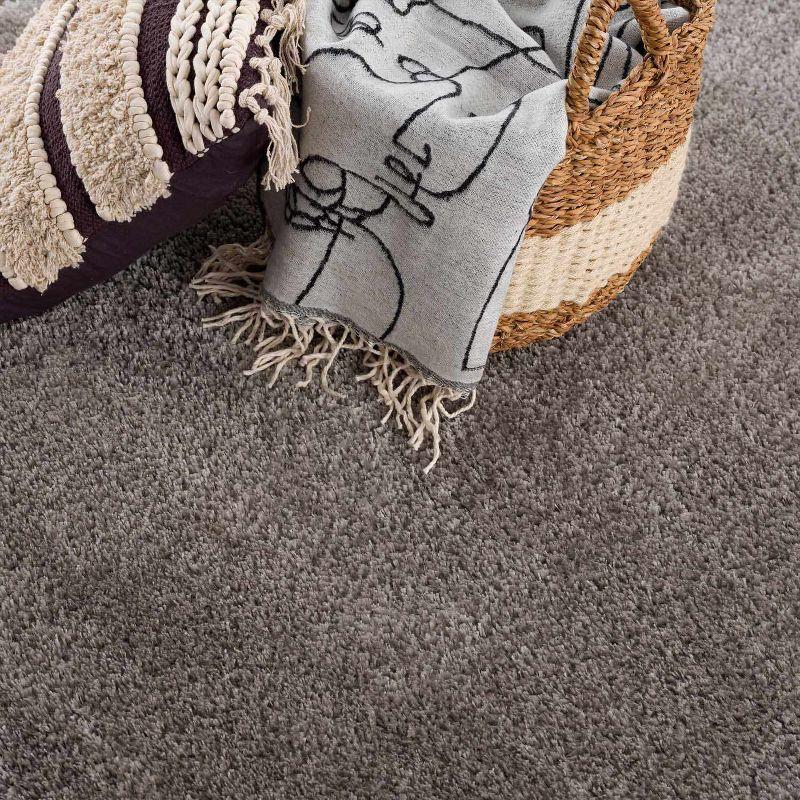 Hauteloom Rectangle Area Rug  Gray