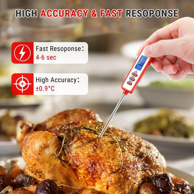 ThermoPro Thermometer