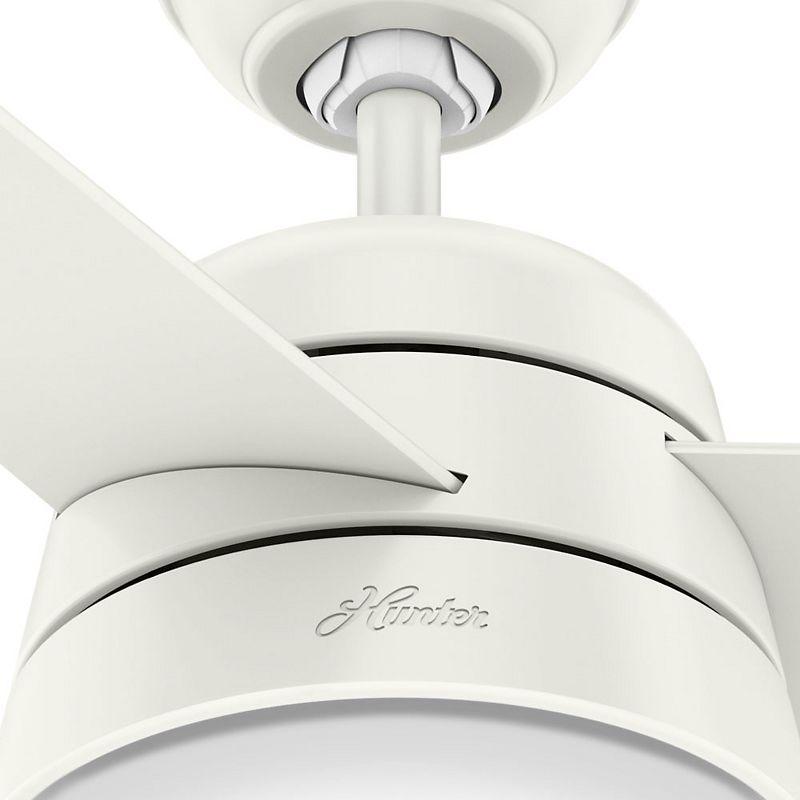 Aker 36" 3 - Blade Standard Ceiling Fan with Lights and Pull Chains