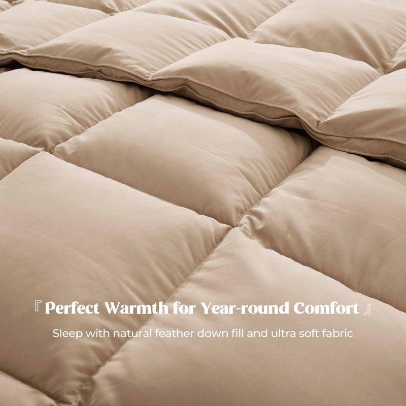 600 Fill Power All Season Down Comforter/Duvet Insert