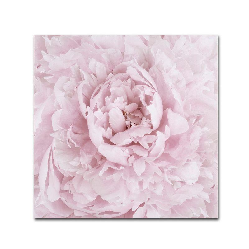 Pink Peony Flower Framed Canvas Art 35'' x 35''