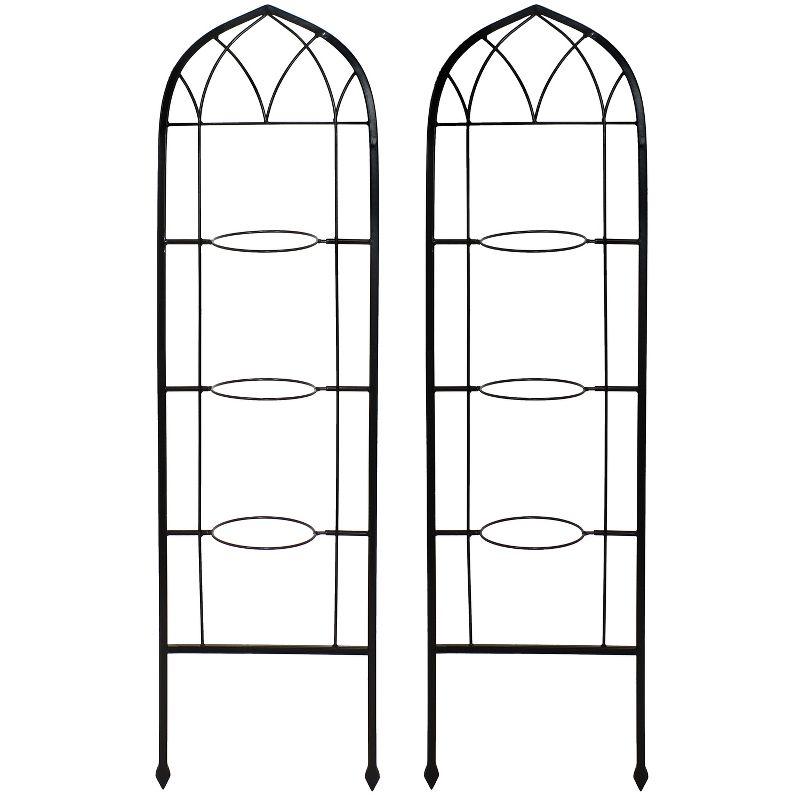 Winston Porter Avonlee Black Steel Arched Garden Trellis for Climbing Plants (Set of 2)