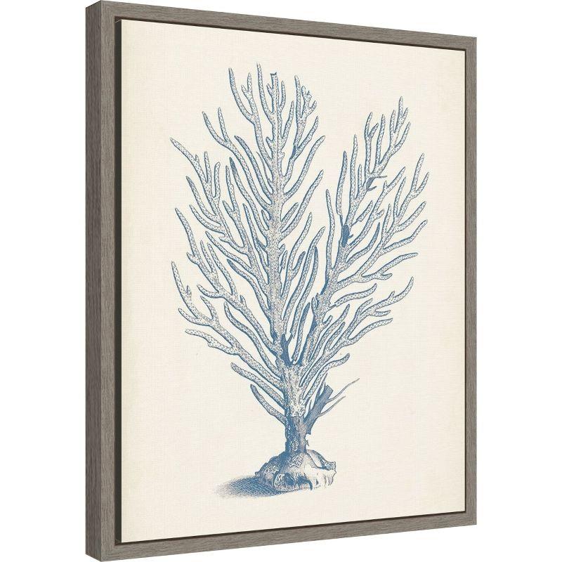 Amanti Art Antique Coral Collection II by Vision Studio Canvas Wall Art Print Framed 16 x 20-in.