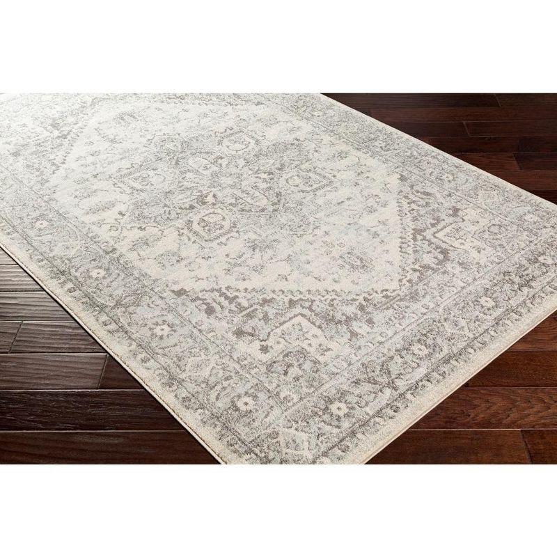 Mark & Day Chartres Woven Indoor Area Rugs Light Gray Gray