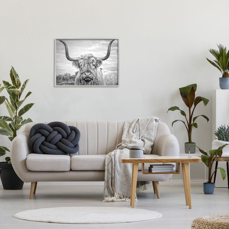 Gray Framed Black and White Highland Cow Canvas Print, 25x32